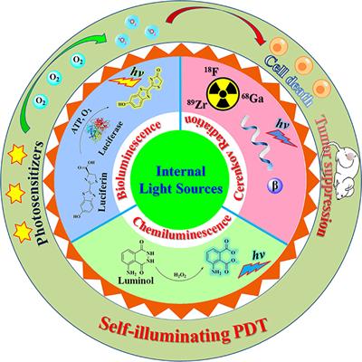 Photodynamic Therapy of Cancers With Internal Light Sources: Chemiluminescence, Bioluminescence, and Cerenkov Radiation